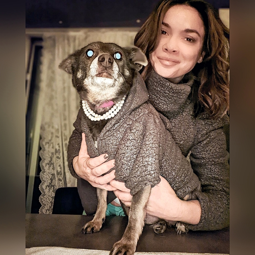 Twin Set Express Metallic Sherpa Puff Sleeve Moto Jacket 💃S & 🐕M dog mom